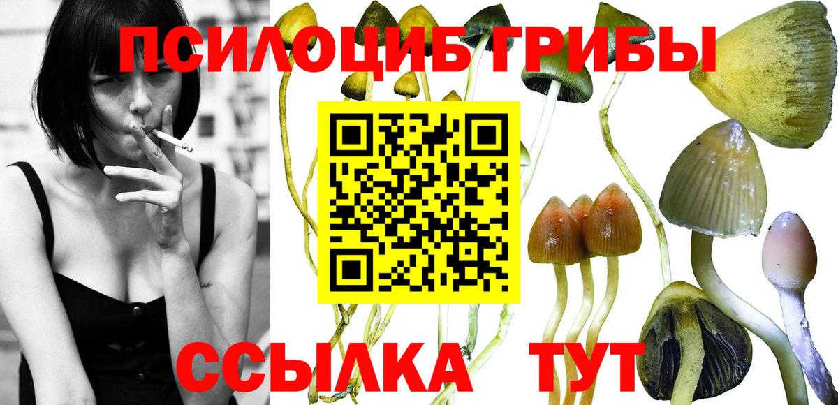 Сыктывкар  Галлюциногенные грибы Magic Shrooms  Вход с VPN 
